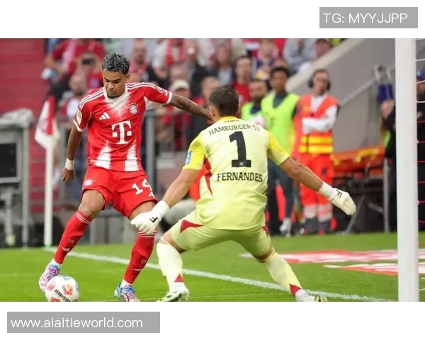 汉堡主场重生,德甲保级希望再现 汉堡主场重生,德甲保级希望再现