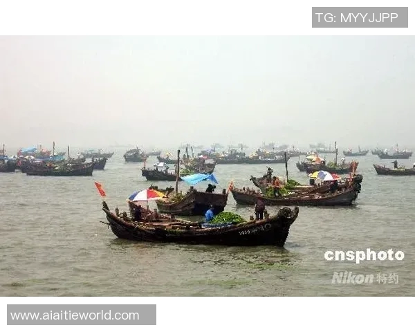 赛场新秀青岛国信水产惊艳表现,获赞无数 赛场新秀青岛国信水产惊艳表现,获赞无数